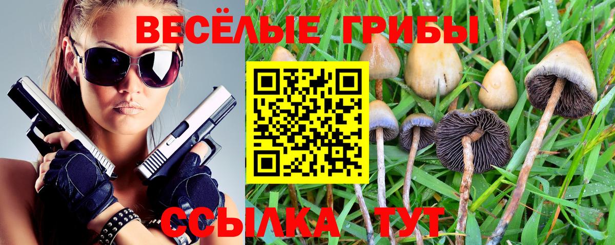 Богородск  Галлюциногенные грибы мицелий  продажа наркотиков  Вход с VPN 